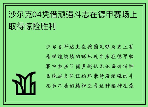 沙尔克04凭借顽强斗志在德甲赛场上取得惊险胜利